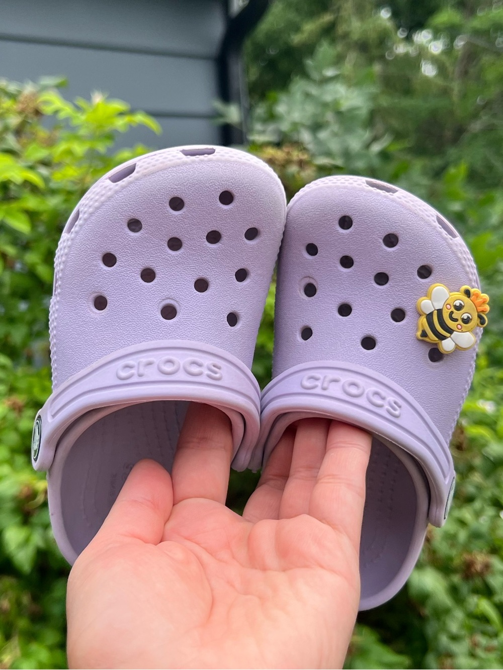 Crocs | C8 | Clogs